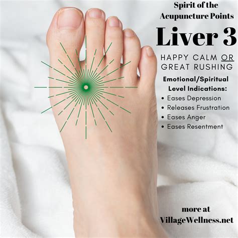 acupressure point for liver.